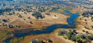le Delta d’Okonvongo
